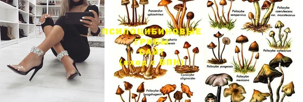 марки nbome Рославль