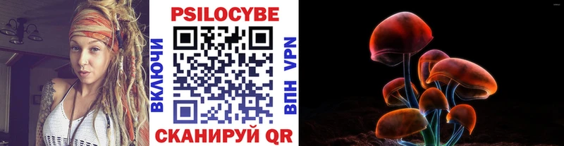 маркетплейс наркотические препараты  Тулун  Псилоцибиновые грибы Magic Shrooms 