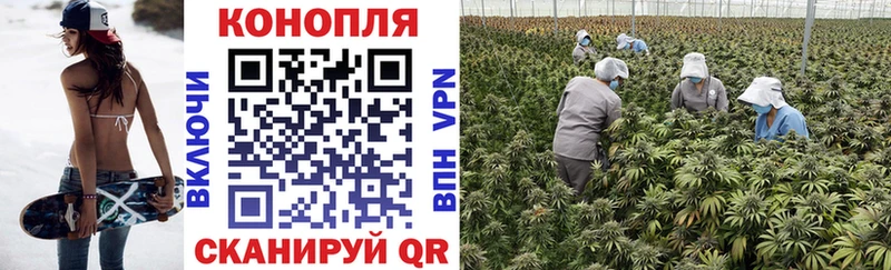 Каннабис SATIVA & INDICA  Тулун 